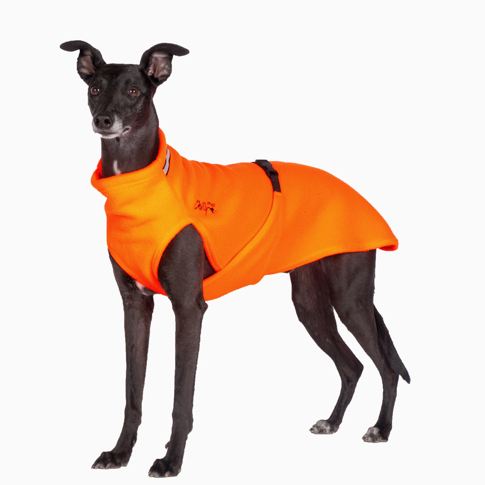 Chilly Dogs Fleece Sweater in Blaze Orange