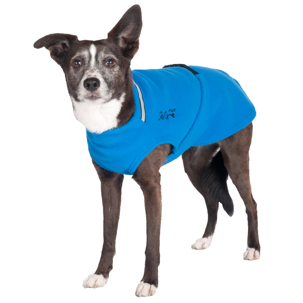 Chilly Dogs Fleece Sweater