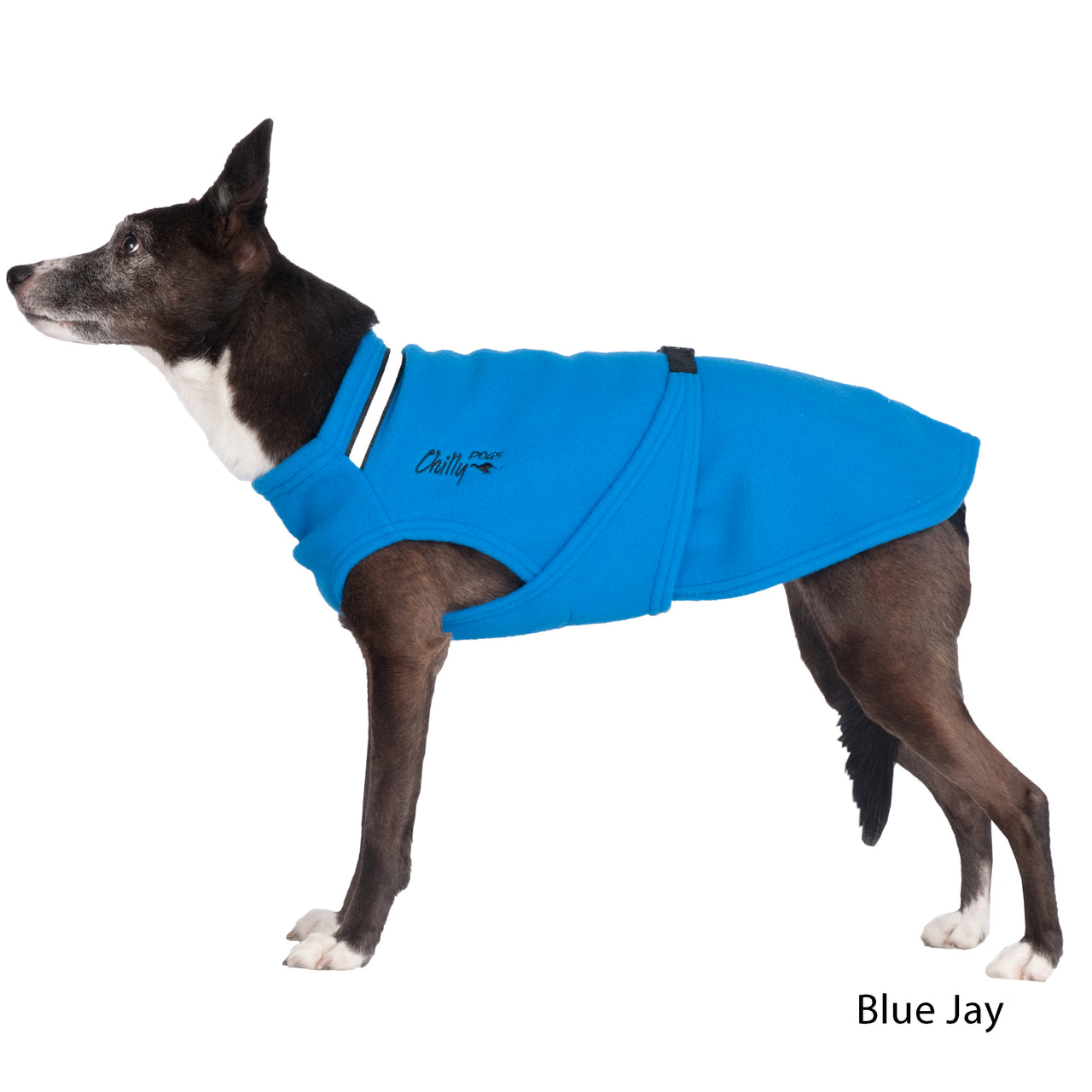 Chilly Dogs Fleece Sweater