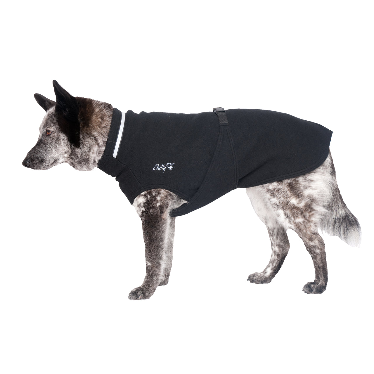 Chilly Dogs Fleece Sweater