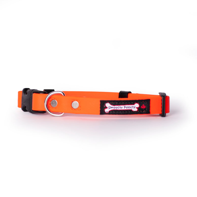Smoochy Poochy Poly Quick Release Collar