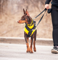 Thumbnail for Smoochy Poochy Hands Free Leash double ended clip