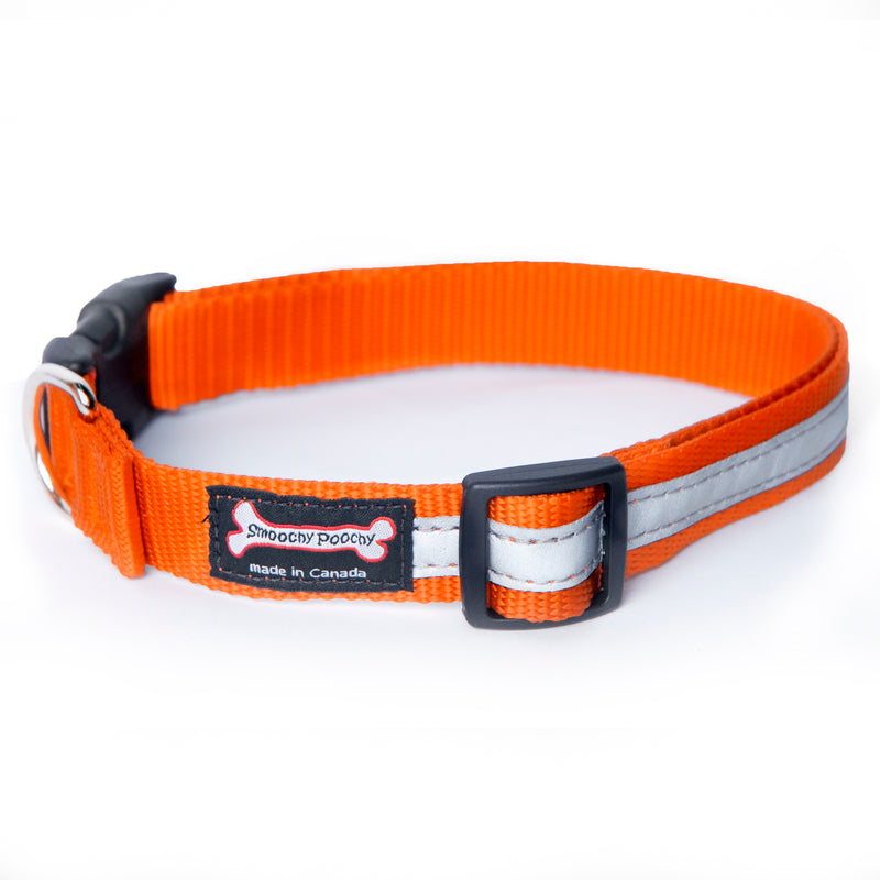 Smoochy Poochy Nylon Reflective Collar