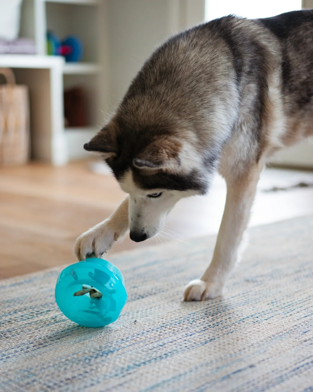 Totally Pooched Stuff'n Wobble Ball, 5", Teal