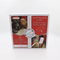 Thumbnail for B&T Pets - 12 Days of Treats