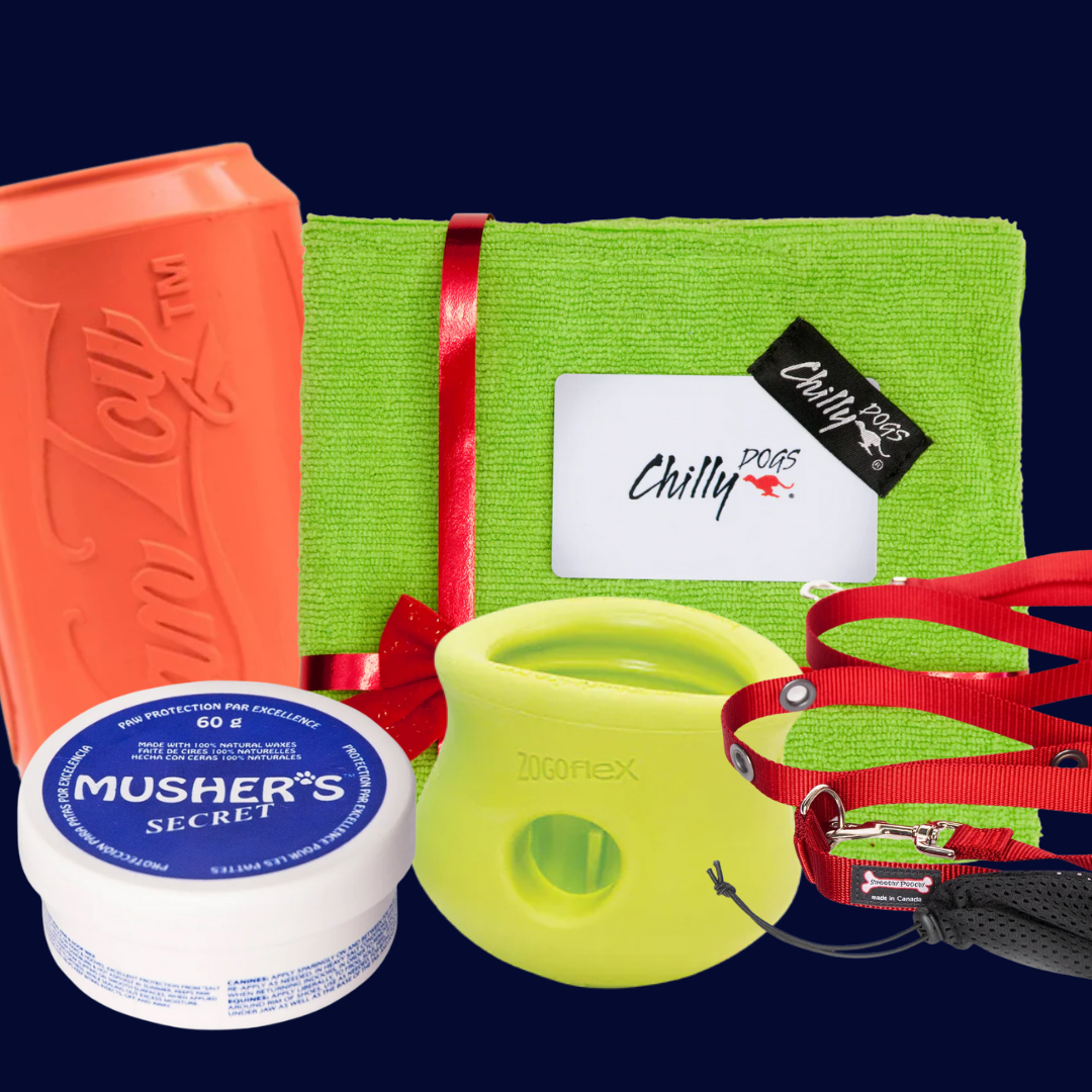 Collection of dog training and grooming products on a dark background