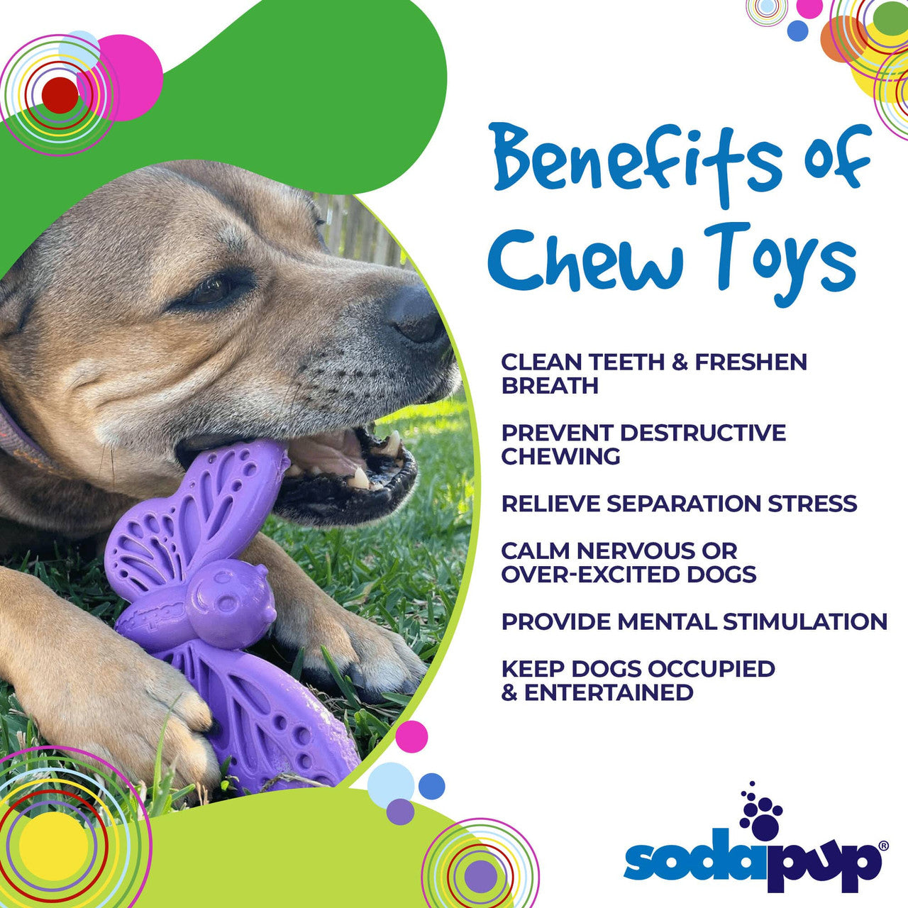 Sodapup Butterfly - Ultra Durable Nylon Chew Toy & Food Holder