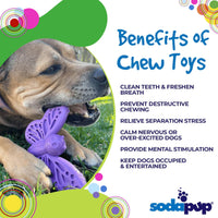 Thumbnail for Sodapup Butterfly - Ultra Durable Nylon Chew Toy & Food Holder