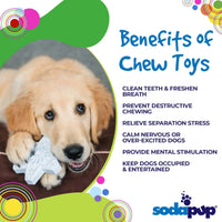 Thumbnail for Sodapup Snowflake durable nylon dog chew