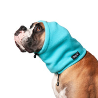 Thumbnail for Boxer dog wearing the Head Muff in Arctic Blue