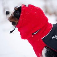 Thumbnail for Small breed dog wearing Red Head Muff and matching Great White North