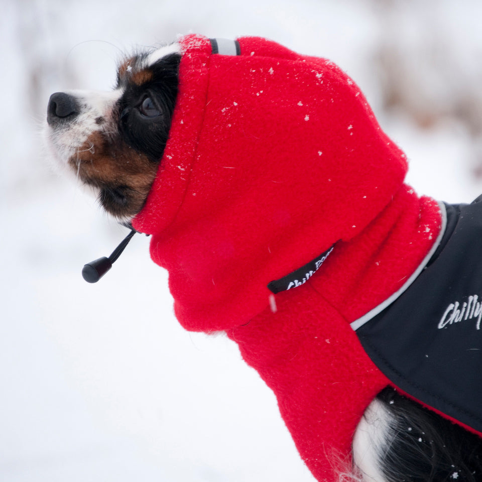 Head Muff Dog Ear Warmer