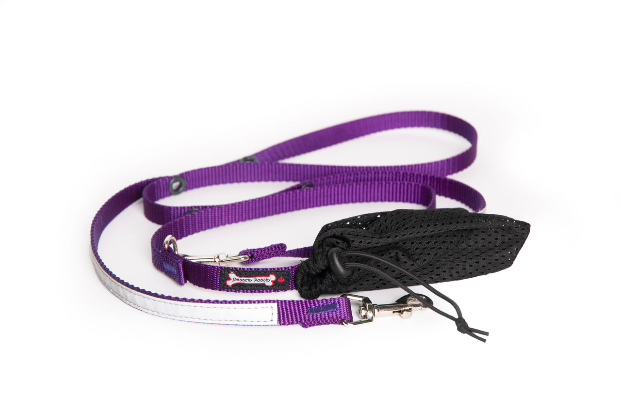 Smoochy Poochy Hands Free Leash - 6ft