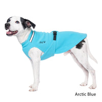 Thumbnail for Small black and white dog wearing the Chilly Sweater in Arctic Blue.