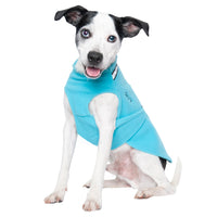 Thumbnail for Black and white dog sitting with the Arctic Blue Chilly Sweater on.