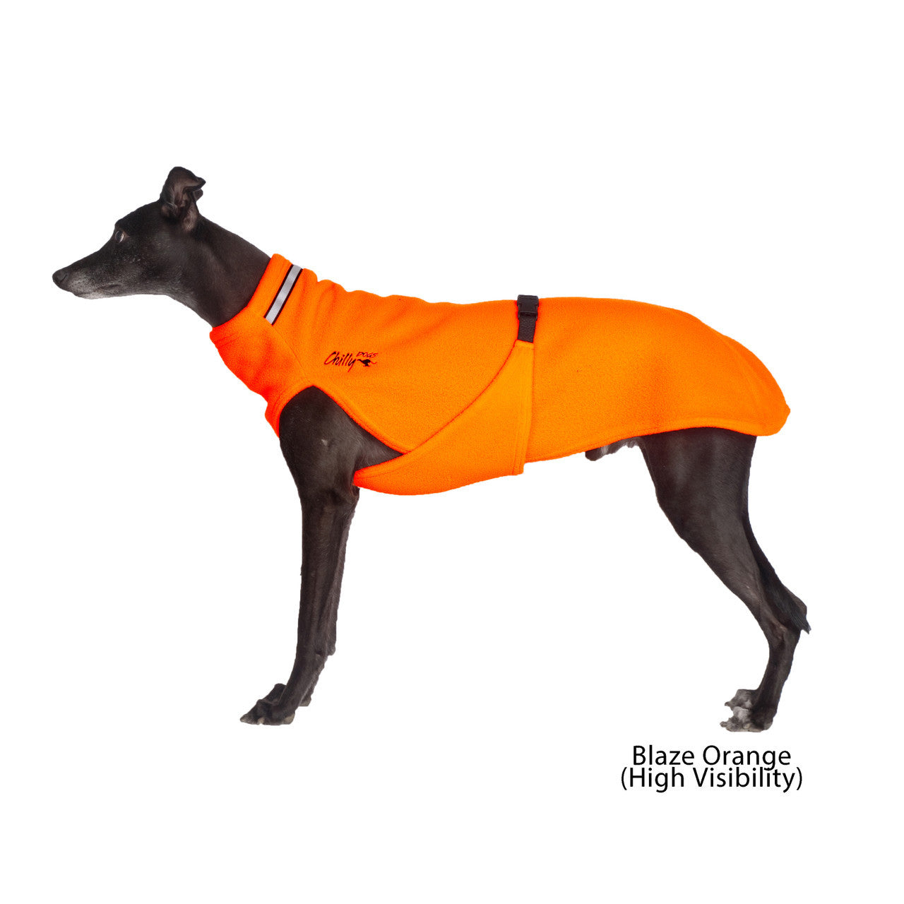 Black Whippet dog wearing the Chilly Sweater in Blaze Orange.