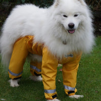 Thumbnail for Muddy Mutts Underbody Raincoat for Dogs