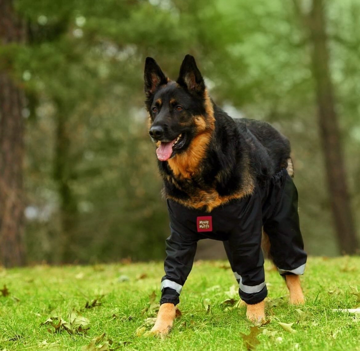 Muddy Mutts Underbody Raincoat for Dogs