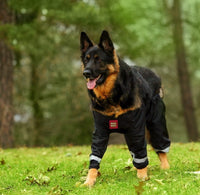 Thumbnail for Muddy Mutts Underbody Raincoat for Dogs