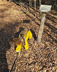 Thumbnail for Muddy Mutts Underbody Raincoat for Dogs