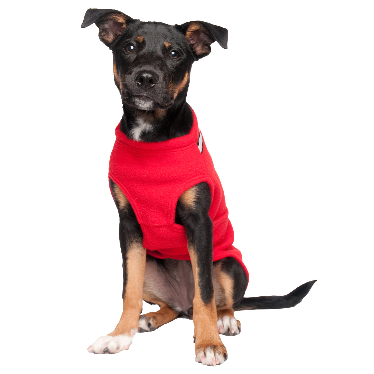 Chilly Sweater - LIGHTLY LOVED