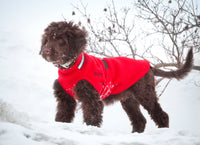 Thumbnail for Chilly Sweater - LIGHTLY LOVED