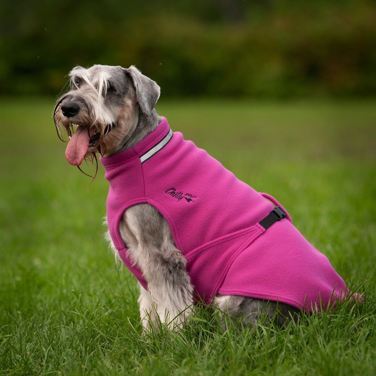 Chilly Sweater Raspberry