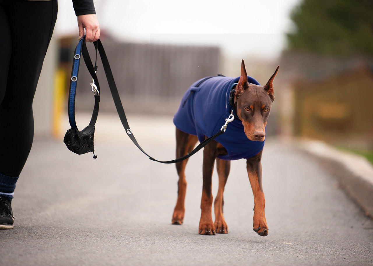 Smoochy Poochy Hands Free Leash double ended clip