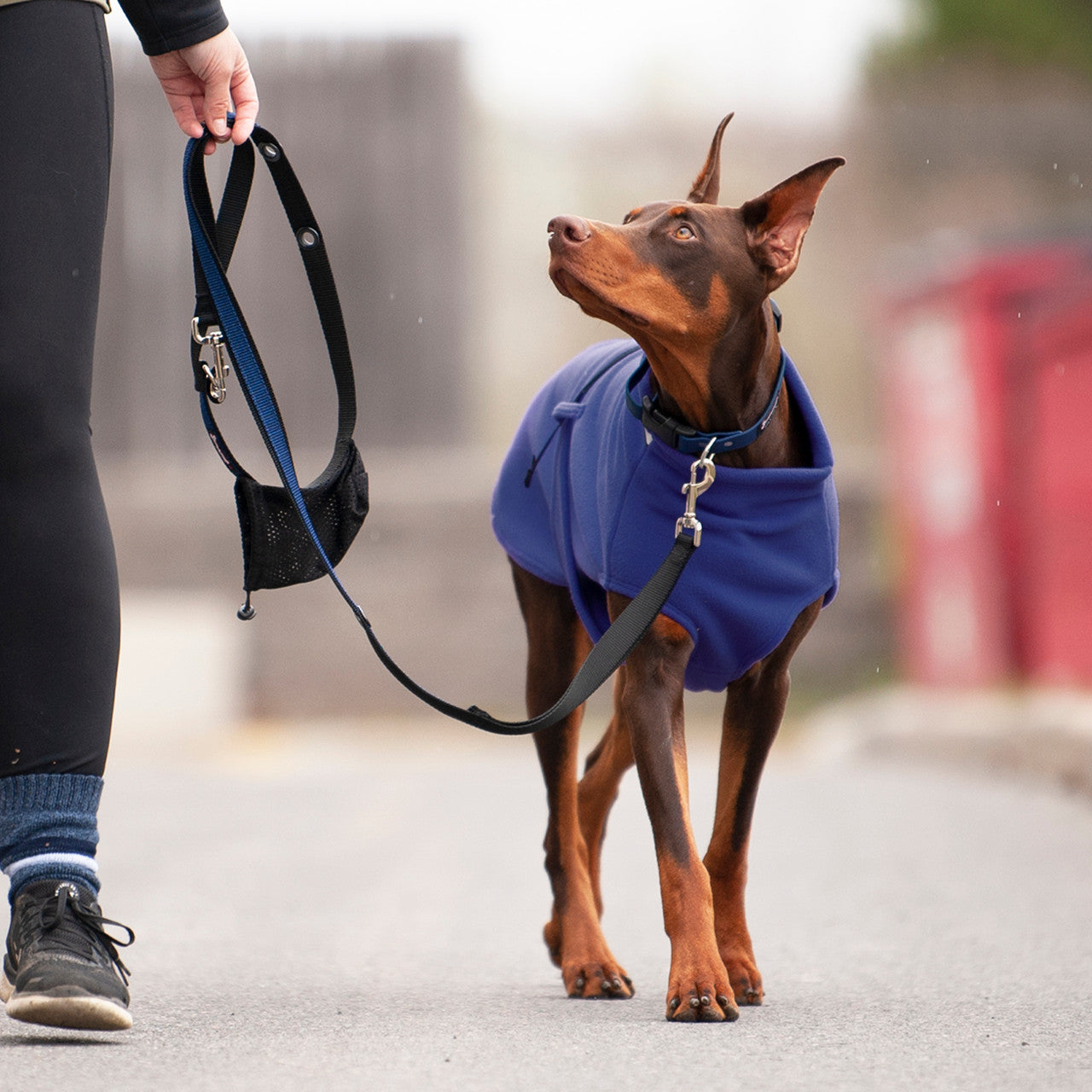 Smoochy Poochy Hands Free Leash double ended clip