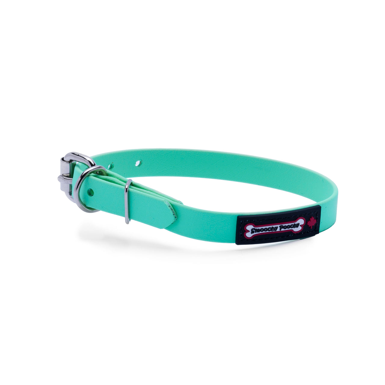 Mint biothane dog collar with a silver metal buckle and a black Smoochy Poochy label.