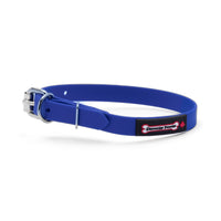 Thumbnail for Ocean Blue biothane dog collar with a silver metal buckle and a black Smoochy Poochy label.