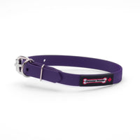 Thumbnail for Purple biothane dog collar with a silver metal buckle and a black Smoochy Poochy label.