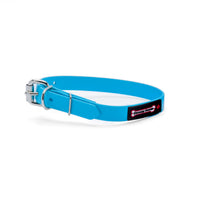 Thumbnail for Turquoise biothane dog collar with a silver metal buckle and a black Smoochy Poochy label.