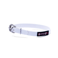 Thumbnail for White biothane dog collar with a silver metal buckle and a black Smoochy Poochy label.