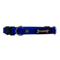 Thumbnail for Smoochy Poochy Quick Release Collar - Version 1.0