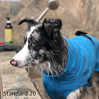 Thumbnail for Border Collie wearing the Soaker Robe in a bath tub to help dry her out.