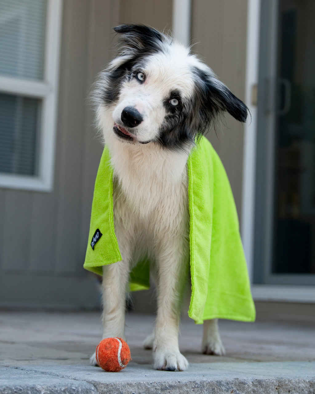 Soaker Bath & Paw Towel Gift Set