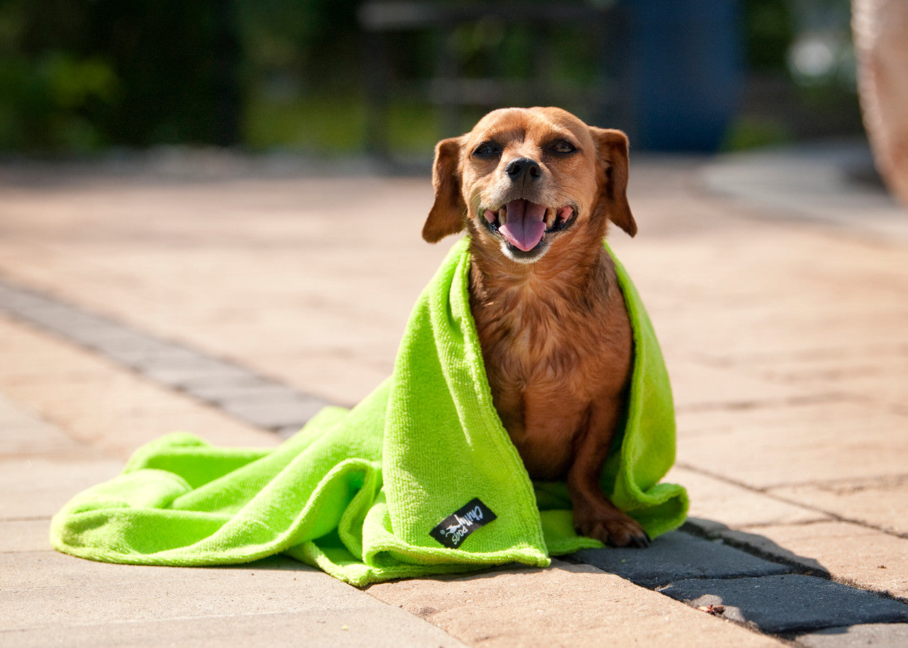 Soaker Bath & Paw Towel Gift Set