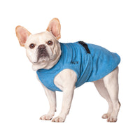 Thumbnail for Fawn French Bulldog wearing the Broad & Burly sized Soaker Robe in Turquoise to help him cool down.