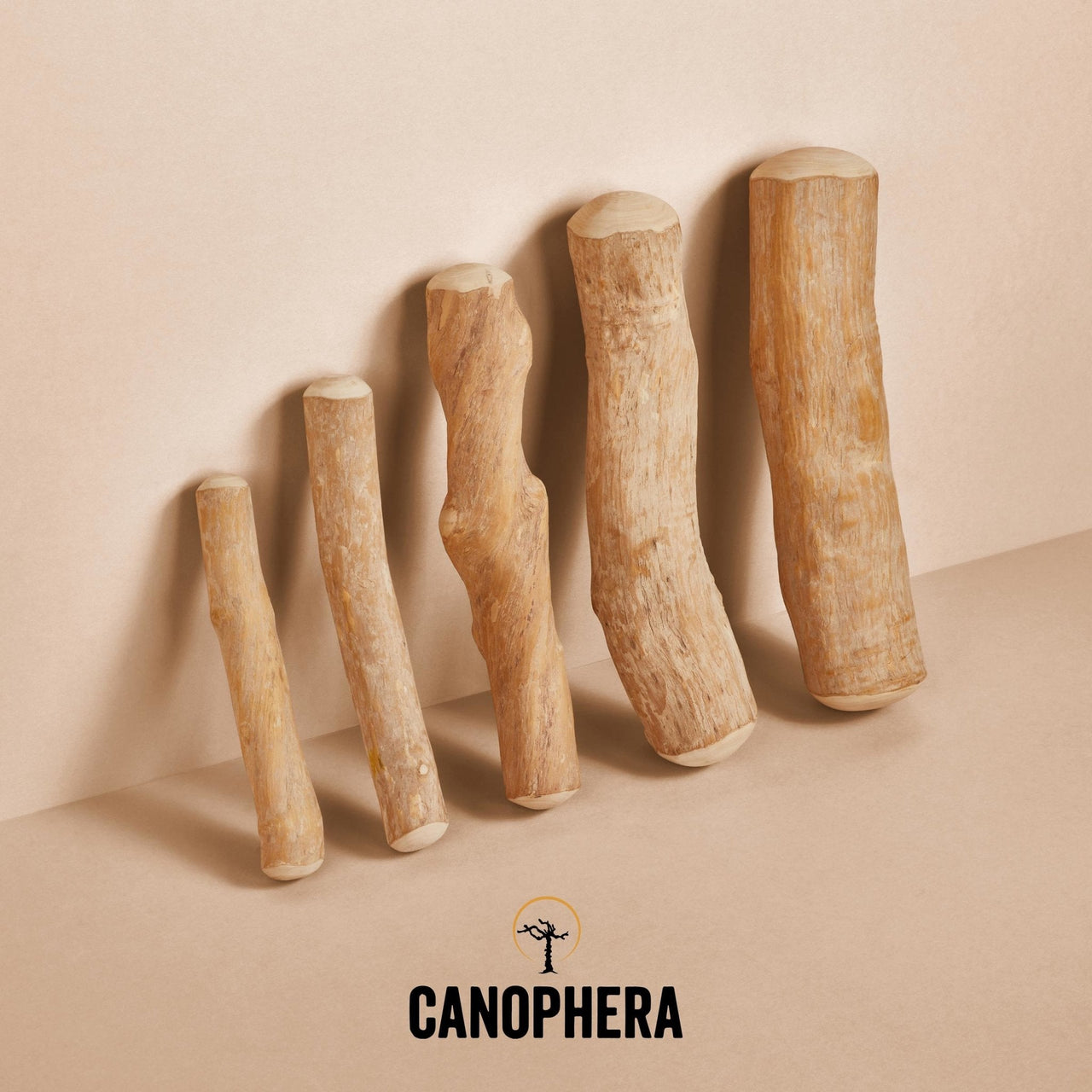 Canophera - Olive Tree Wood Stick