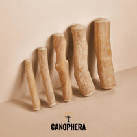 Thumbnail for Canophera - Olive Tree Wood Stick