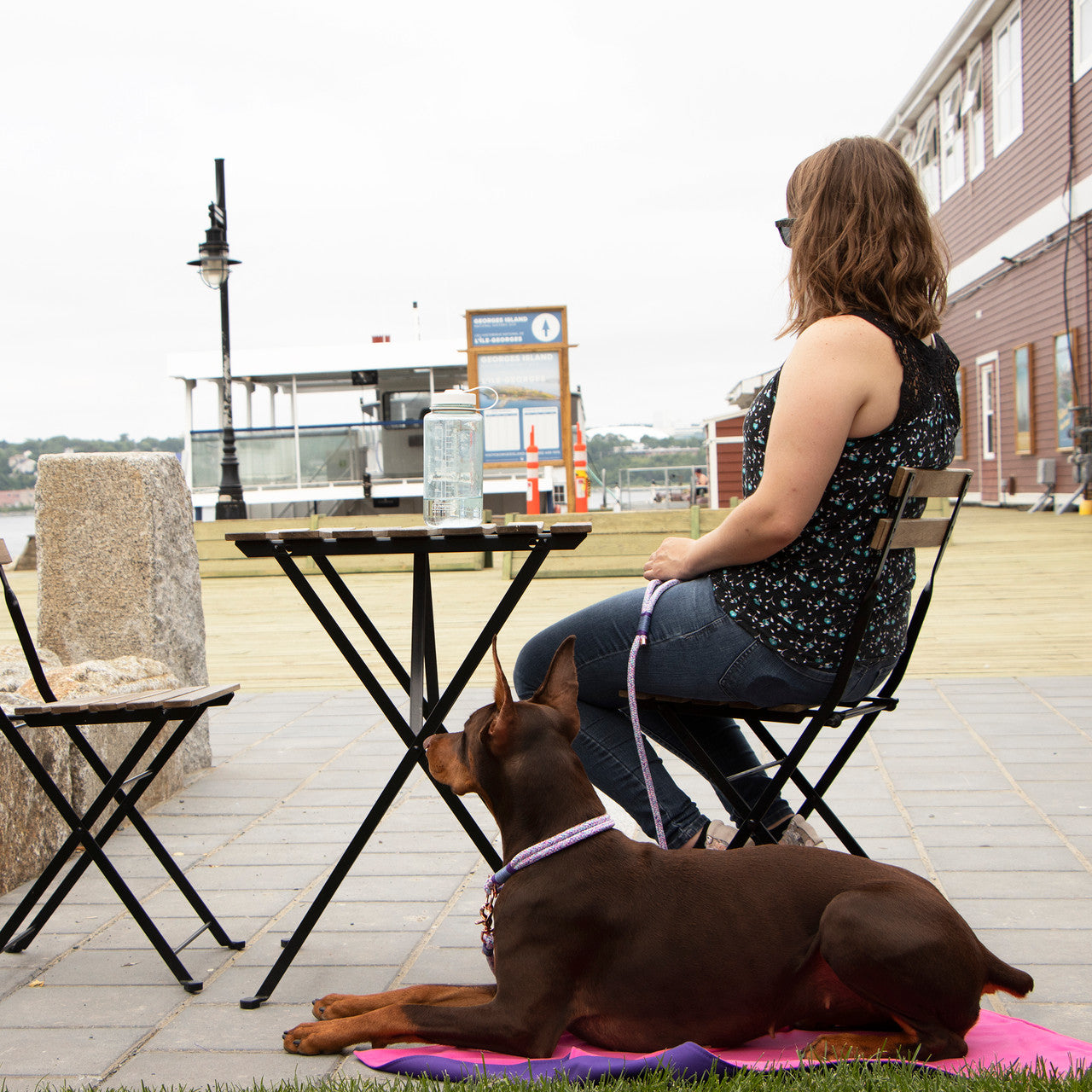 Doberman using the Alpine Mat at an outdoor diner.