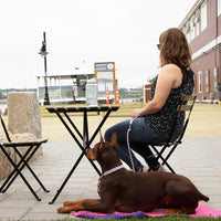 Thumbnail for Doberman using the Alpine Mat at an outdoor diner.