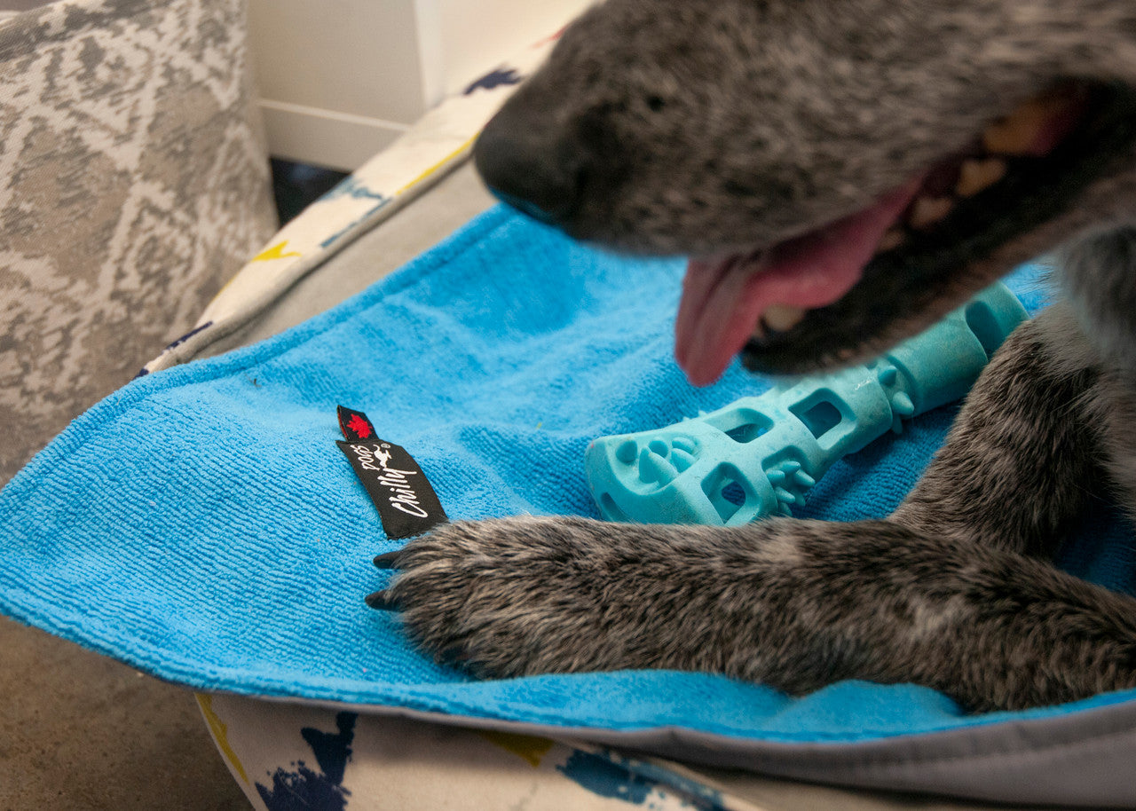 Chilly Dogs Soaker Mat on top of a dog bed.