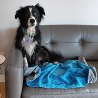 Thumbnail for Chilly Dogs Soaker Mat keeping the couch clean and dry from a wet dog.