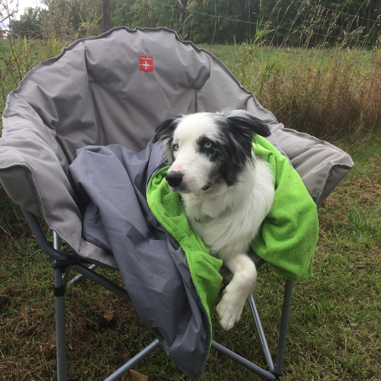 Chilly Dogs Soaker Blanket keeping a dog dry in the rain.