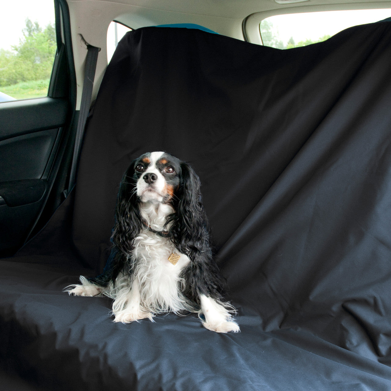 Chilly Dogs Soaker Blanket being used as a car swat cover.