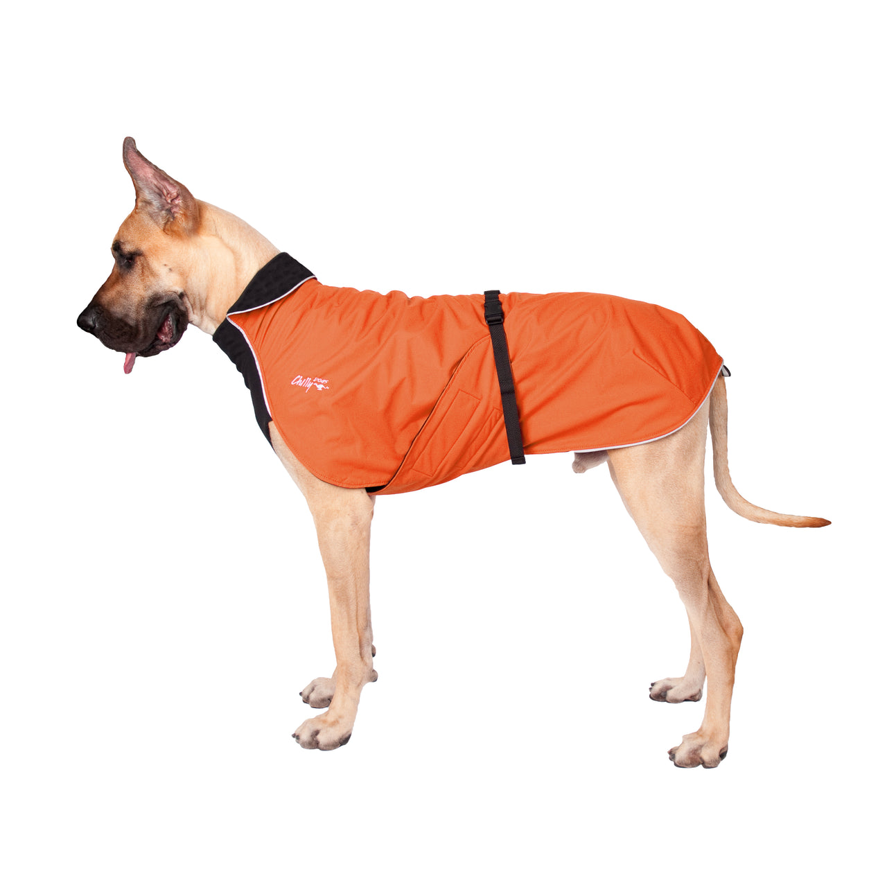 Alpine Blazer 3-Season Dog Coat