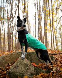 Thumbnail for Great White North Jade with Black Fleece