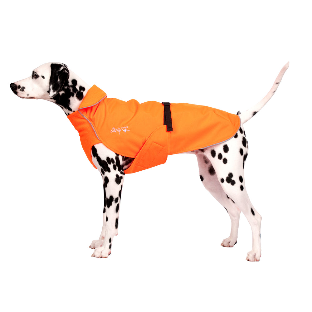 Alpine Blazer 3-Season Dog Coat in Blaze Orange